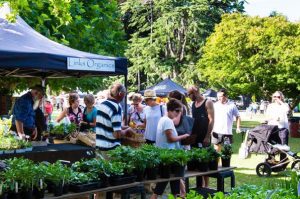 farmers market